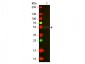 Anti-Mouse IgG1 (Gamma 1 chain)  (Texas Red™ Conjugated) Secondary Antibody
